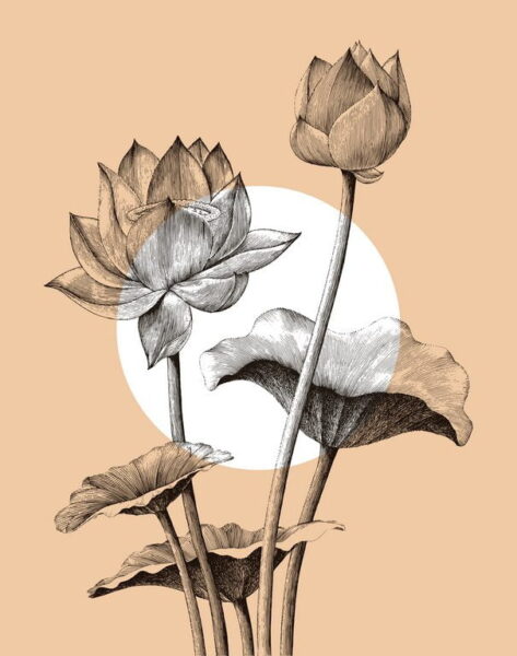 Sticker mural Fleurs de lotus