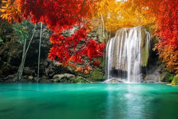 Peinture murale Cascade d'automne