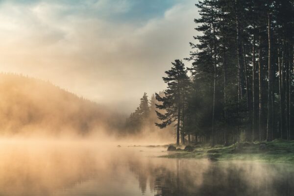 Peinture murale Brume matinale sur le lac