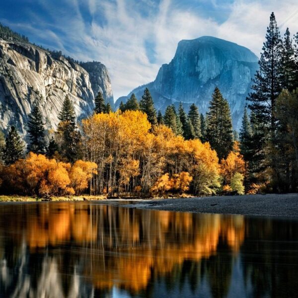 Peinture murale Reflet d'automne