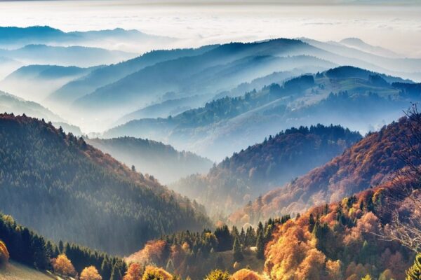 Peinture murale Brouillard dans les montagnes