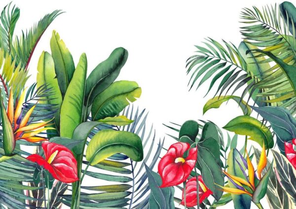 Peinture murale Feuilles d'Amazonie