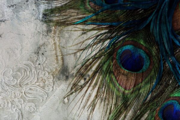 Peinture murale Plumes de paon
