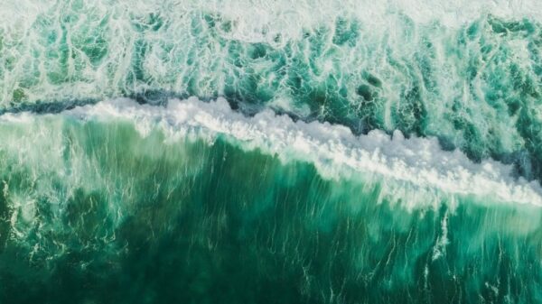 Peinture murale Vagues vertes