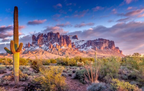 Peinture murale Cactus et Montagnes