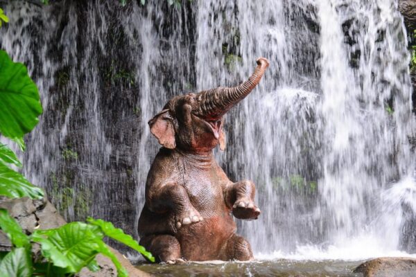 Peinture murale Éléphant sous la douche