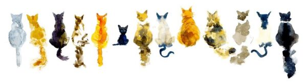 Peinture murale Chatons peints