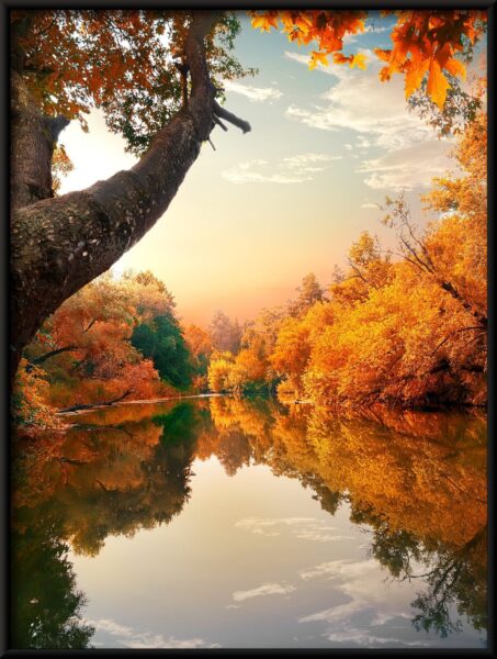 Affiche de rivière d'automne – Image 4