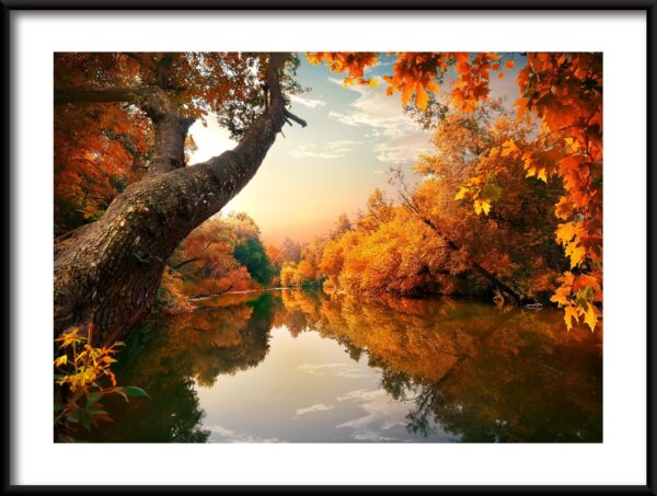 Affiche de rivière d'automne