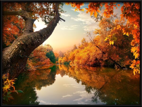 Affiche de rivière d'automne – Image 2