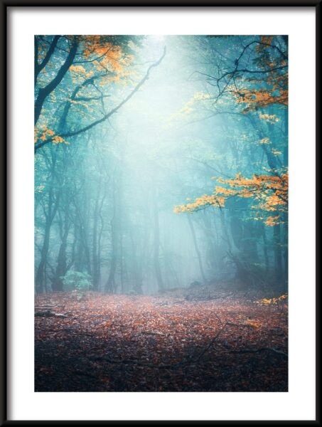 Affiche lueur de la forêt – Image 3
