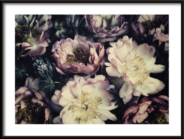 Fleurs d'automne Poster