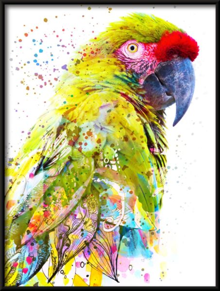 Affiche de perroquet coloré – Image 2