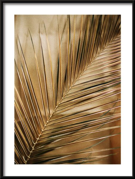 Affiche palmier