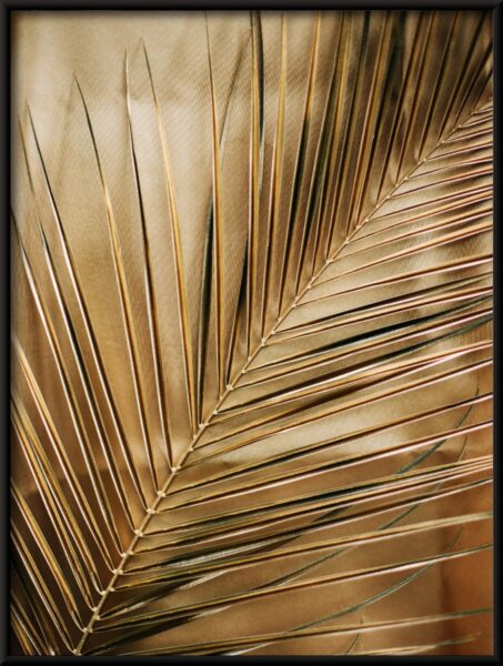 Affiche palmier – Image 2
