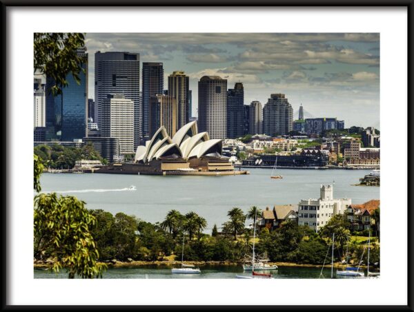 Affiche Panorama de Sydney