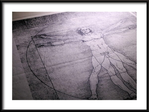L'homme de Vitruve – Image 3