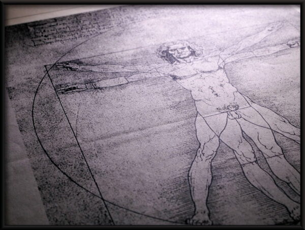 L'homme de Vitruve – Image 4
