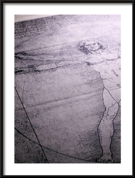 L'homme de Vitruve