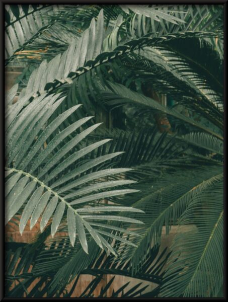 Monde des feuilles Poster – Image 4