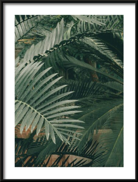 Monde des feuilles Poster – Image 3