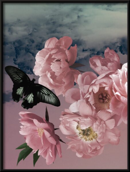 Affiche papillon noir – Image 4
