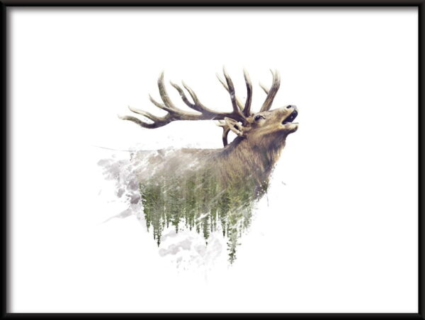 Affiche cerf sauvage