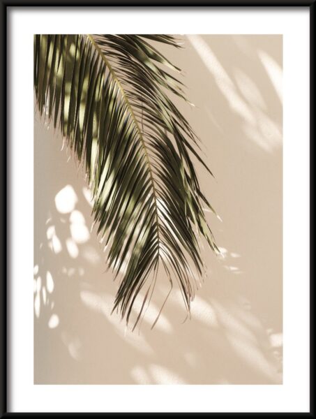 Une feuille Poster
