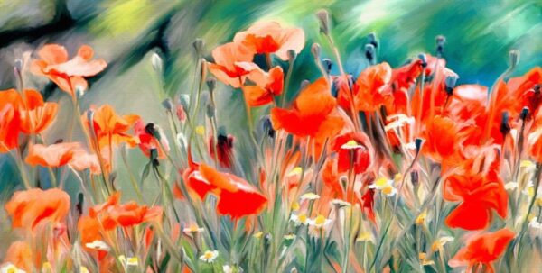 Peinture murale Coquelicots rouges