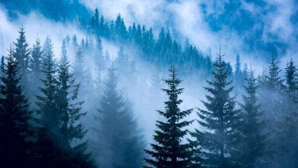 Peinture murale Brouillard bleu