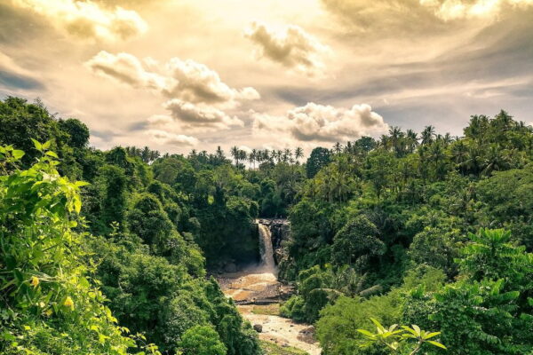 Peinture murale Cascade verte
