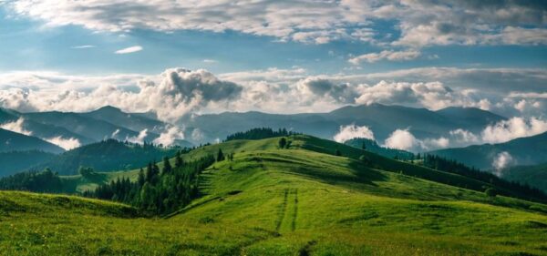 Peinture murale Montagne verte