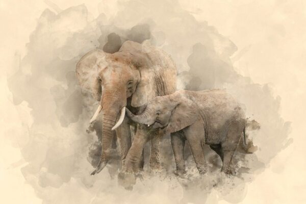Peinture murale Éléphants flous