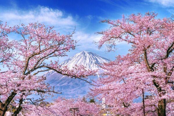 Poster XXL Mont Fuji
