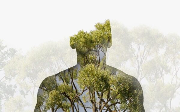 Poster XXL Le visage vert