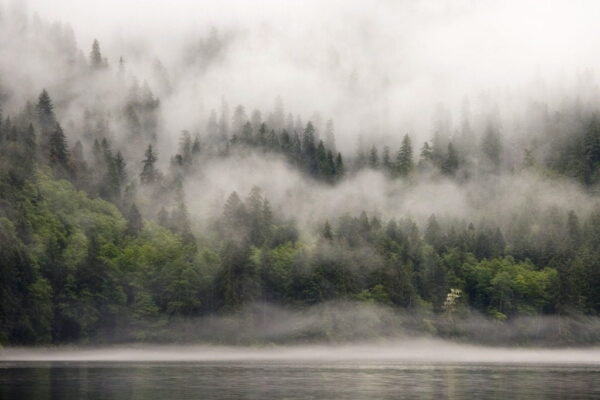 Peinture murale Brouillard sur l'eau