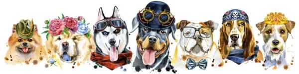 Papier peint Chiens dans les vêtements