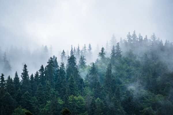 Peinture murale Brouillard des montagnes
