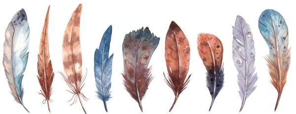 Peinture murale Plumes indiennes