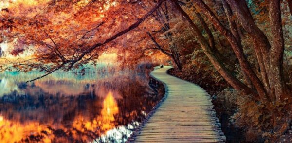 Peinture murale Pont d'automne