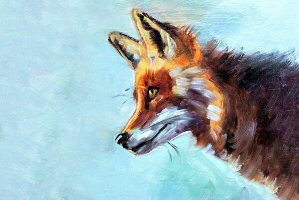 Poster XXL Un renard curieux