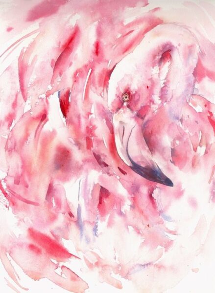 Papiers peints Aspect flamant rose
