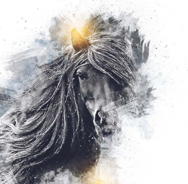 Poster XXL Le Cheval Majestueux