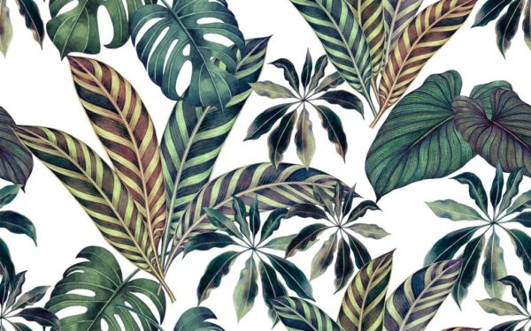 Peinture murale Feuilles peintes