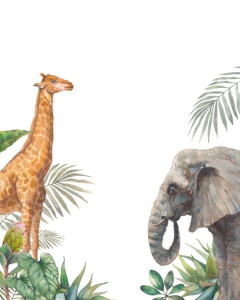 Poster XXL Éléphant et Girafe