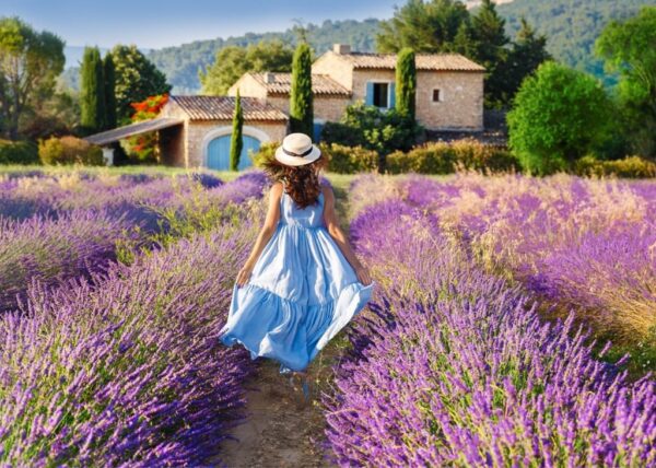 Poster XXL Balade en Provence