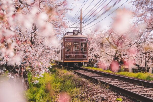 Poster XXL Train de printemps