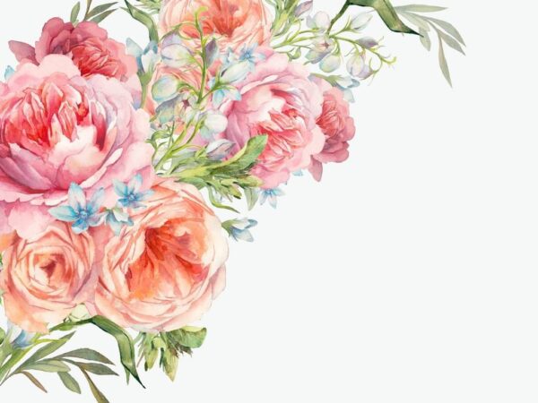 Peinture murale Pivoines peintes