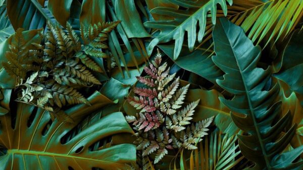 Papier peint Composition verte