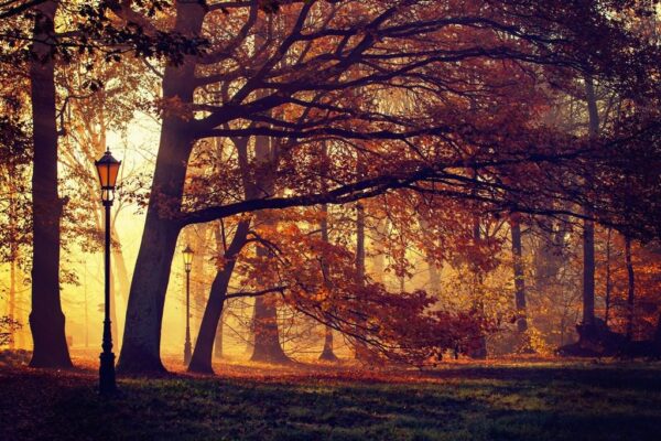 Peinture murale Paysage d'automne
